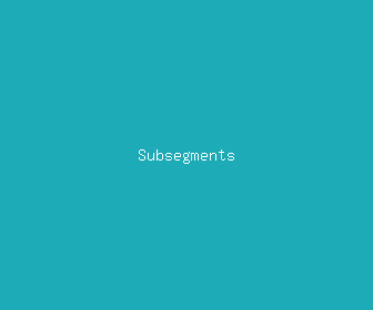 subsegments meaning, definitions, synonyms