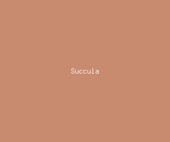 succula meaning, definitions, synonyms