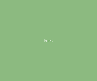 suet meaning, definitions, synonyms
