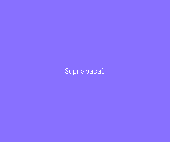 suprabasal meaning, definitions, synonyms