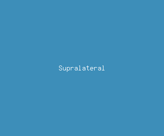 supralateral meaning, definitions, synonyms