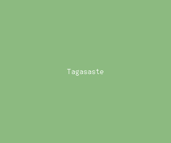 tagasaste meaning, definitions, synonyms