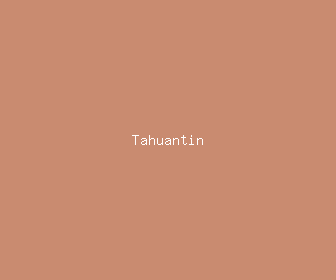 tahuantin meaning, definitions, synonyms
