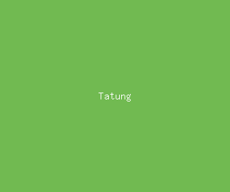 tatung meaning, definitions, synonyms