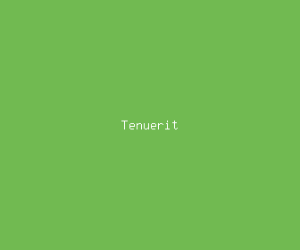 tenuerit meaning, definitions, synonyms