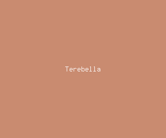 terebella meaning, definitions, synonyms