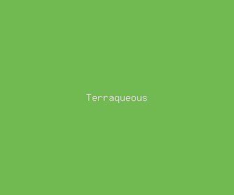 terraqueous meaning, definitions, synonyms