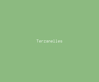 terzanelles meaning, definitions, synonyms