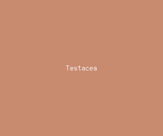 testacea meaning, definitions, synonyms