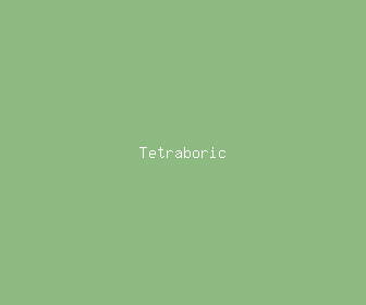 tetraboric meaning, definitions, synonyms