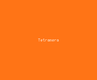 tetramera meaning, definitions, synonyms