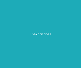 thamnomanes meaning, definitions, synonyms