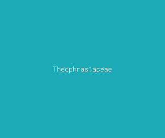 theophrastaceae meaning, definitions, synonyms