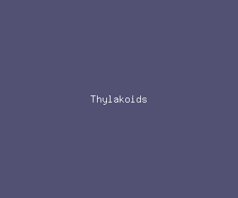 thylakoids meaning, definitions, synonyms