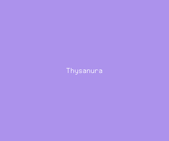 thysanura meaning, definitions, synonyms