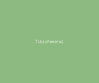 tibiofemoral meaning, definitions, synonyms
