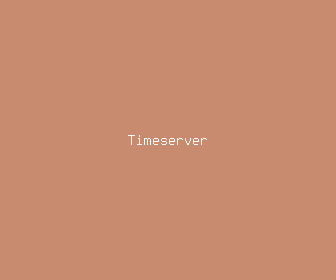 timeserver meaning, definitions, synonyms