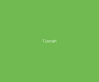 timnah meaning, definitions, synonyms