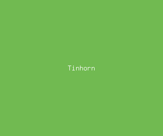 tinhorn meaning, definitions, synonyms