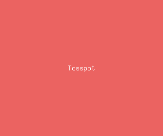 tosspot meaning, definitions, synonyms
