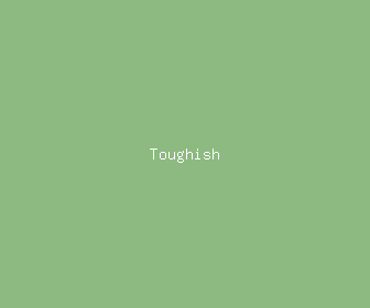 toughish meaning, definitions, synonyms