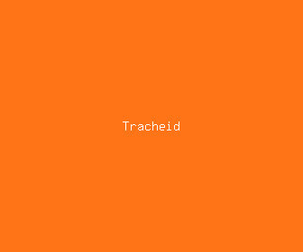tracheid meaning, definitions, synonyms