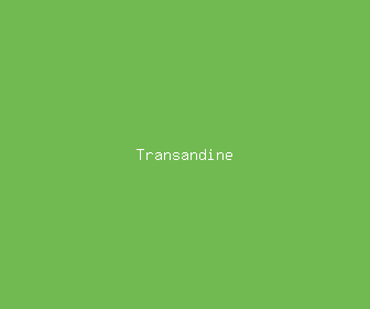 transandine meaning, definitions, synonyms