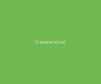transcervical meaning, definitions, synonyms