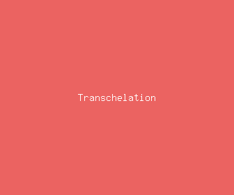 transchelation meaning, definitions, synonyms