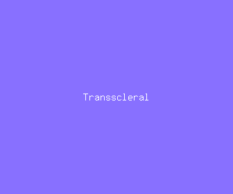 transscleral meaning, definitions, synonyms