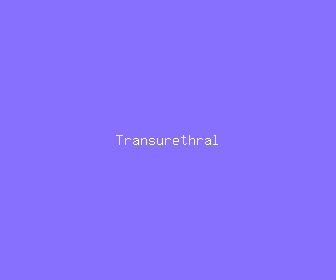transurethral meaning, definitions, synonyms