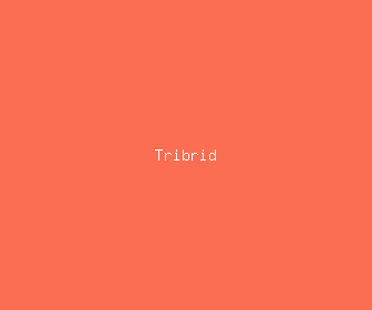 tribrid meaning, definitions, synonyms