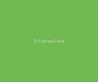 tricarpellate meaning, definitions, synonyms