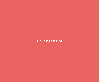 trichechine meaning, definitions, synonyms