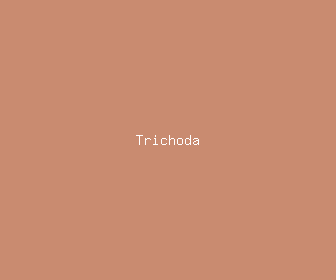 trichoda meaning, definitions, synonyms