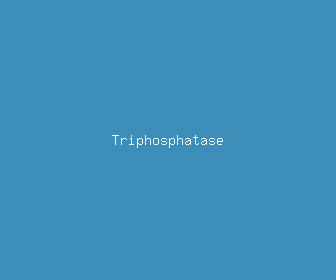 triphosphatase meaning, definitions, synonyms