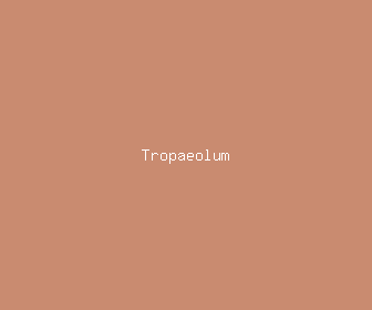 tropaeolum meaning, definitions, synonyms