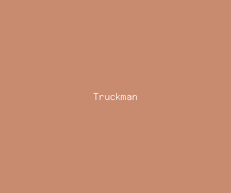 truckman meaning, definitions, synonyms