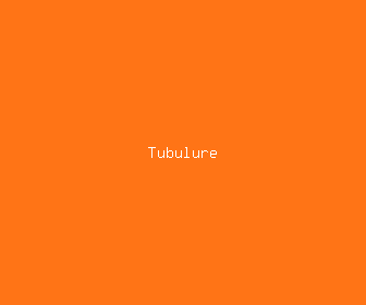 tubulure meaning, definitions, synonyms