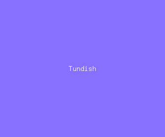 tundish meaning, definitions, synonyms