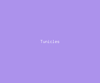 tunicles meaning, definitions, synonyms