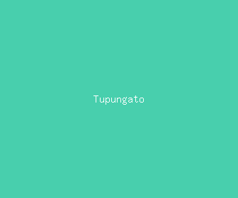 tupungato meaning, definitions, synonyms
