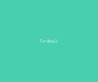 turdball meaning, definitions, synonyms