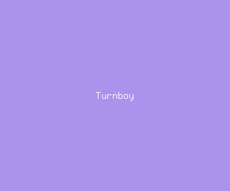 turnboy meaning, definitions, synonyms