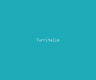 turritella meaning, definitions, synonyms