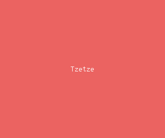 tzetze meaning, definitions, synonyms
