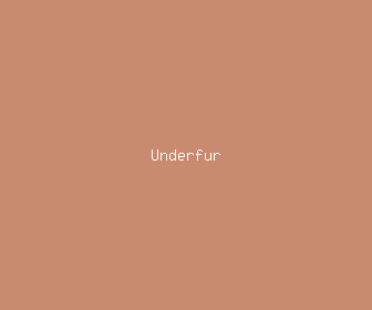 underfur meaning, definitions, synonyms