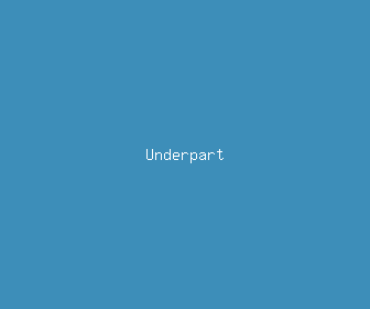 underpart meaning, definitions, synonyms