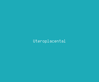 uteroplacental meaning, definitions, synonyms