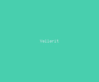 vellerit meaning, definitions, synonyms